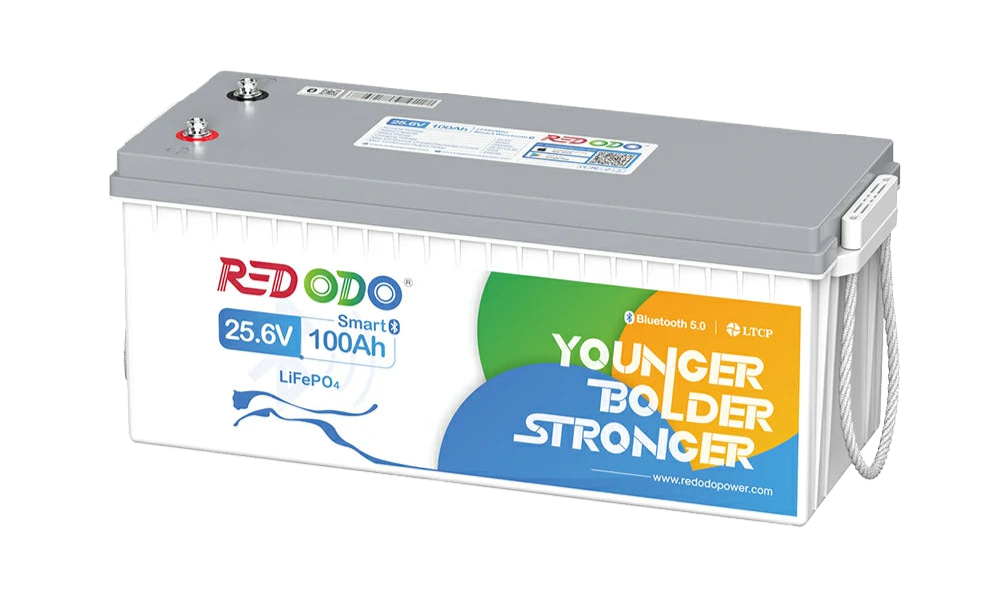 0% VAT Redodo LiFePO4 24V 100Ah Bluetooth Battery €408.39 0% VAT Redodo LiFePO4 24V 100Ah Bluetooth Battery €408.39